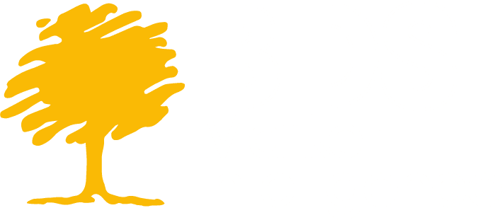 BDS Market Intelligence